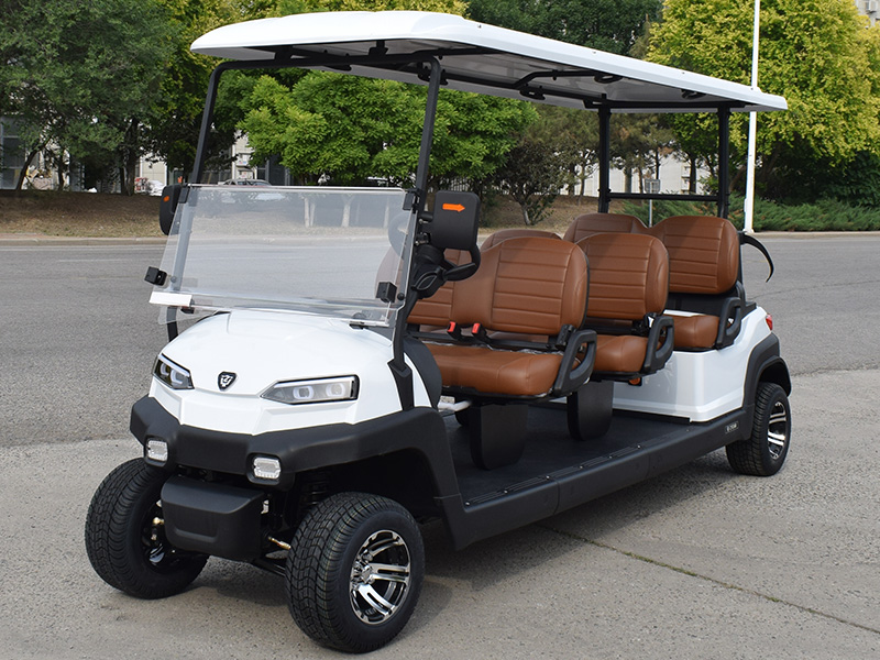 6座高尔夫球车白色