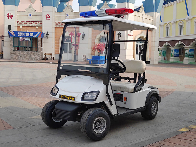 2座改装电动巡逻车