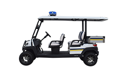 4座带货斗电动巡逻车