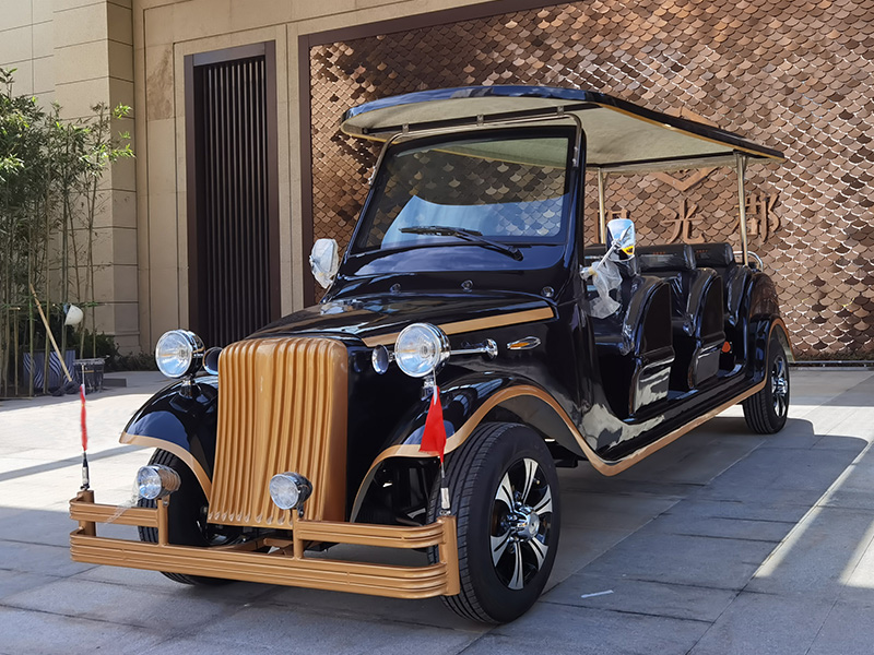 8座电动老爷车典雅黑Y8-A