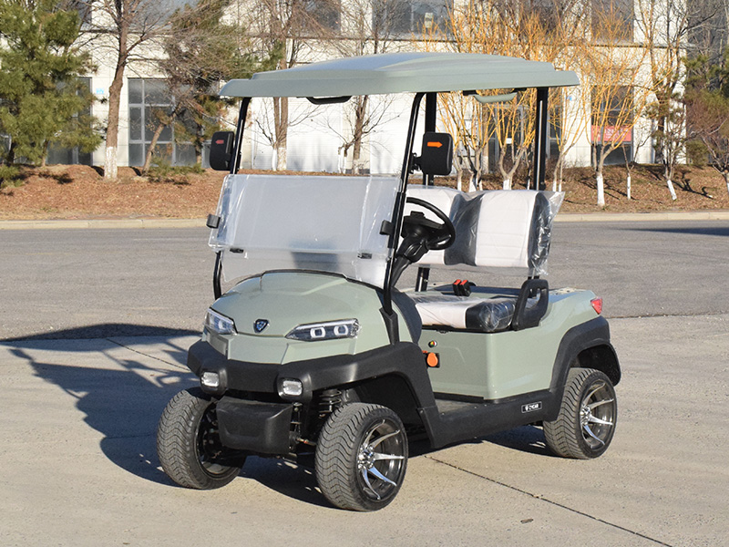 2座高尔夫球车灰绿色