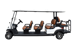 8座电动高尔夫球车